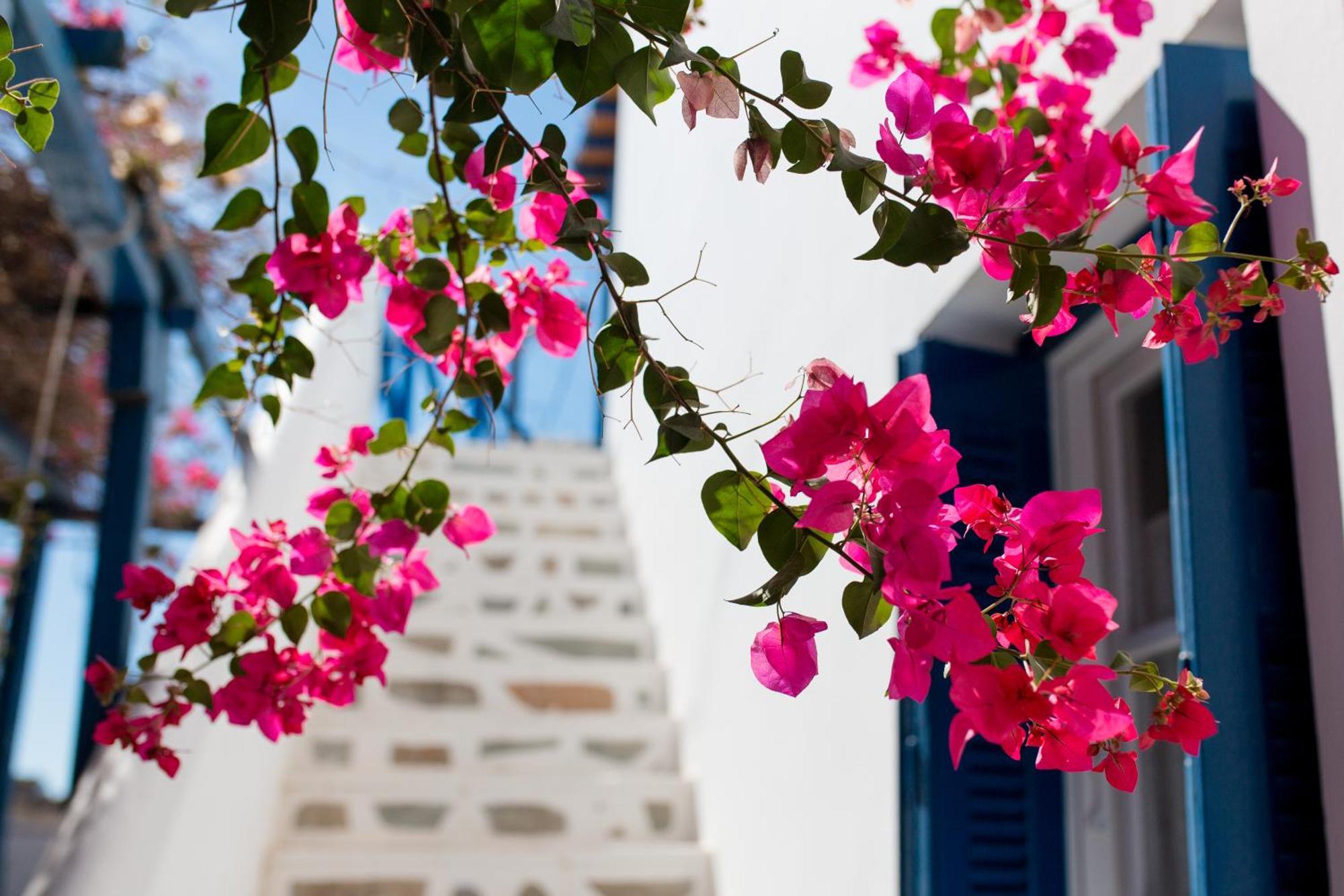 Dora'S Studios & Apartments Mégas Yialós-Nítes エクステリア 写真